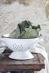 DURSZLAK EMALIOWANY Colander White Ib Laursen