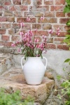 PROWANSALSKI WAZON Z UCHWYTAMI Vintage White Rustic Style Ib Laursen