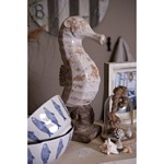 DEKORACJA KONIK MORSKI  Classic Clayre & Eef