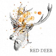 SERWETKI PAPIEROWE Red Deer