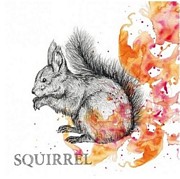 SERWETKI PAPIEROWE Squirrel