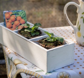 DREWNIANY POJEMNIK Z PRZEGRODAMI Brocante White Clayre & Eef