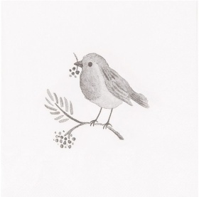 DEKORACYJNE SERWETKI PAPIEROWE Bird White Clayre & Eef